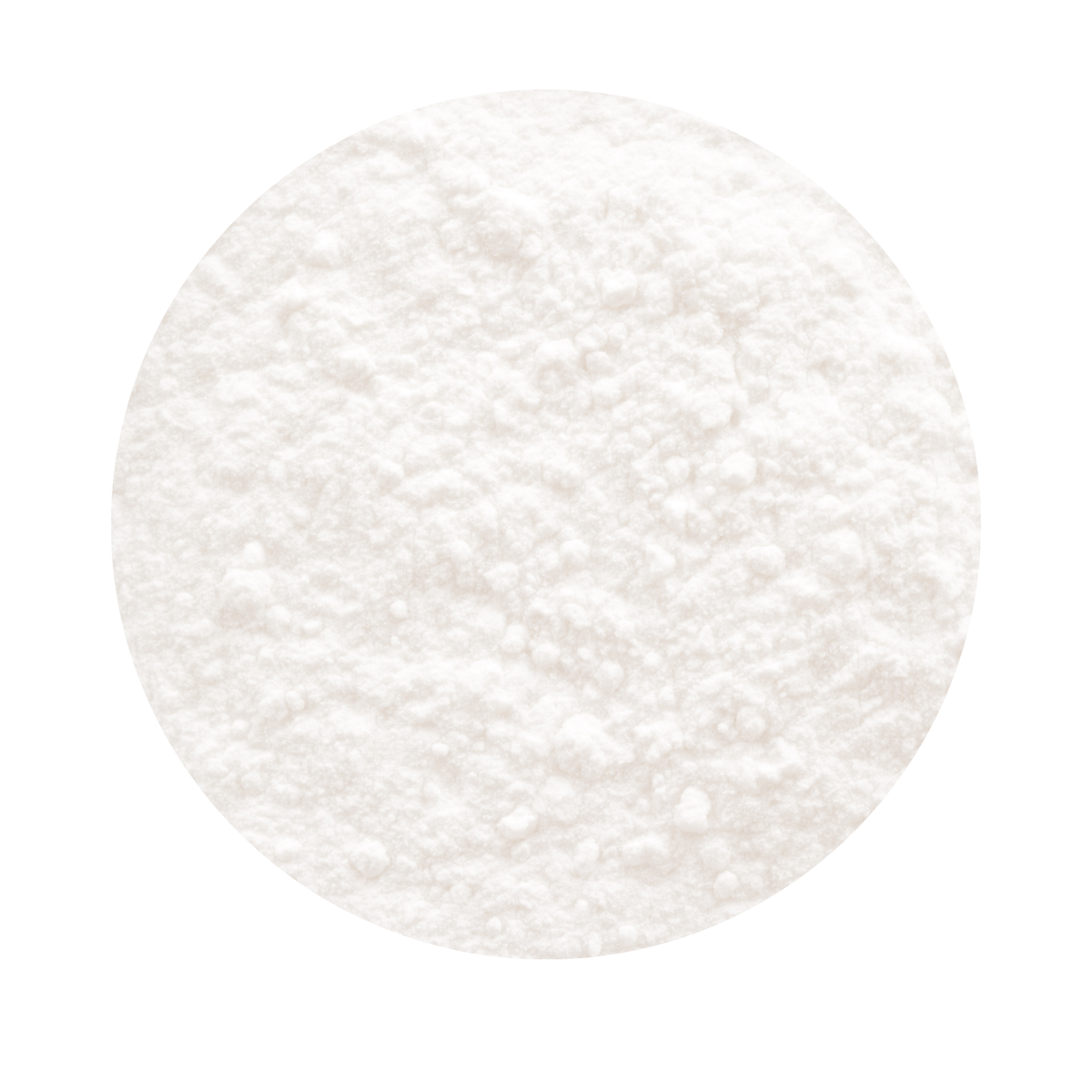 Onion Extract Powder 10:1