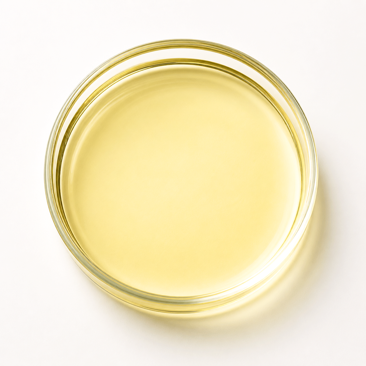Rose Extract Oil